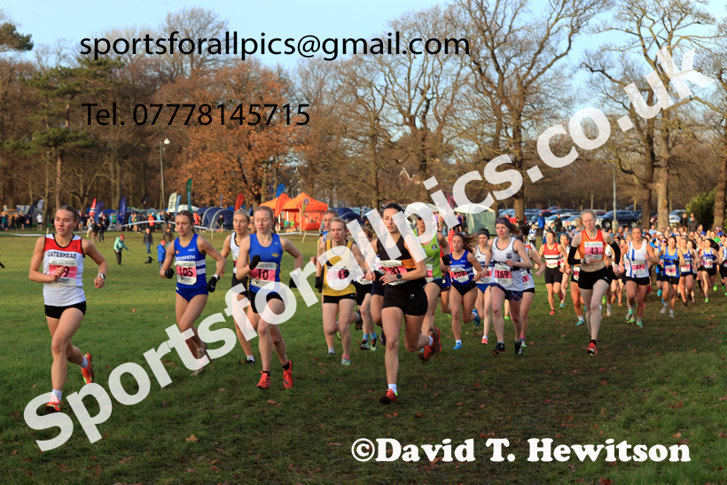 Senior Womens 2025 North Eastern Champs. Photo: David T. Hewiton/Sports for All Pics